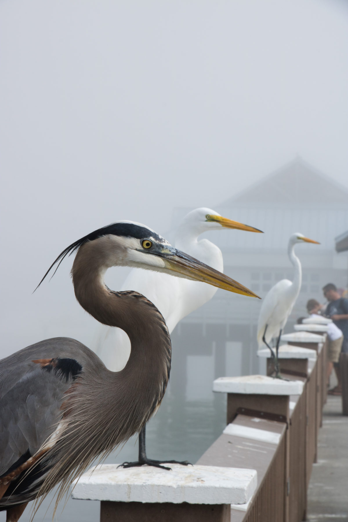 161212-florida-0122